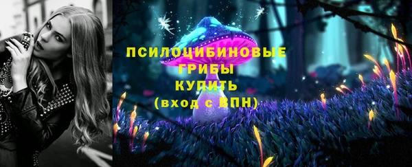 сатива Елизово